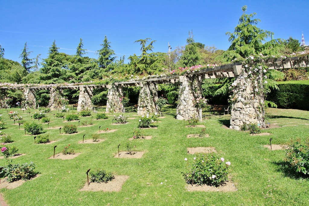 Foto: Parque Cervantes - Barcelona (Cataluña), España