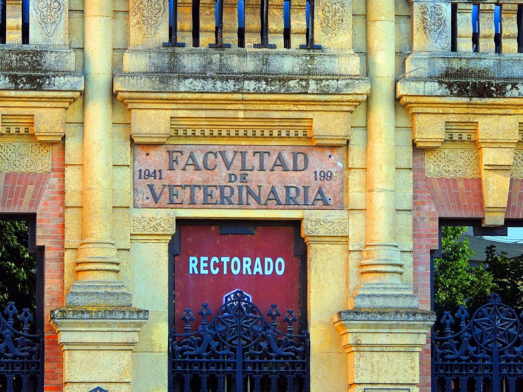 Foto de Córdoba (Andalucía), España