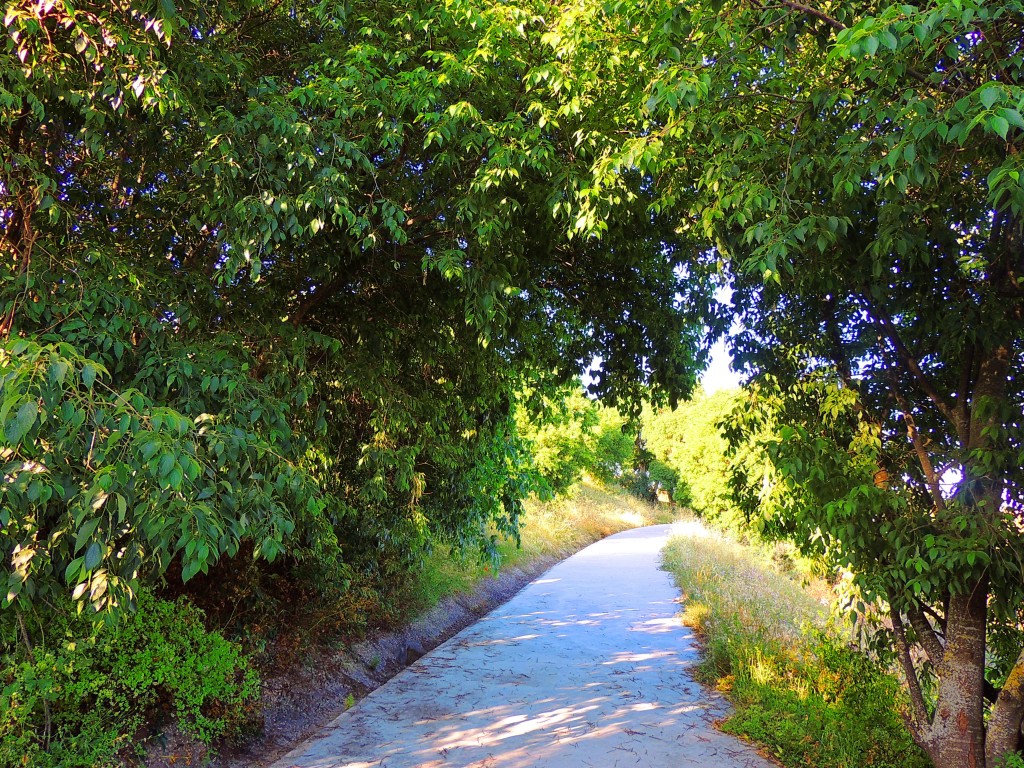 Foto: Medinat Al-Zahra - Córdoba (Andalucía), España