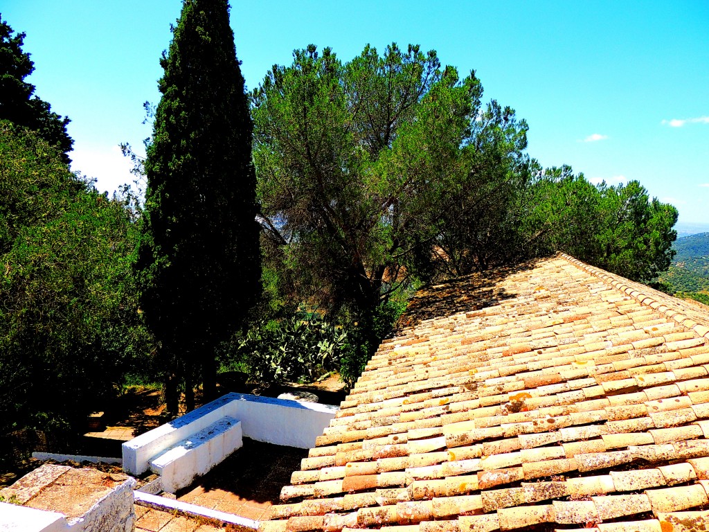 Foto de Córdoba (Andalucía), España
