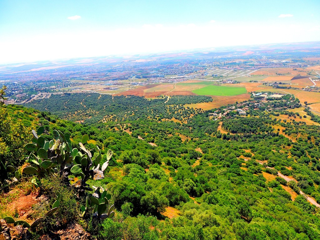 Foto: Las Ermitas - Córdoba (Andalucía), España
