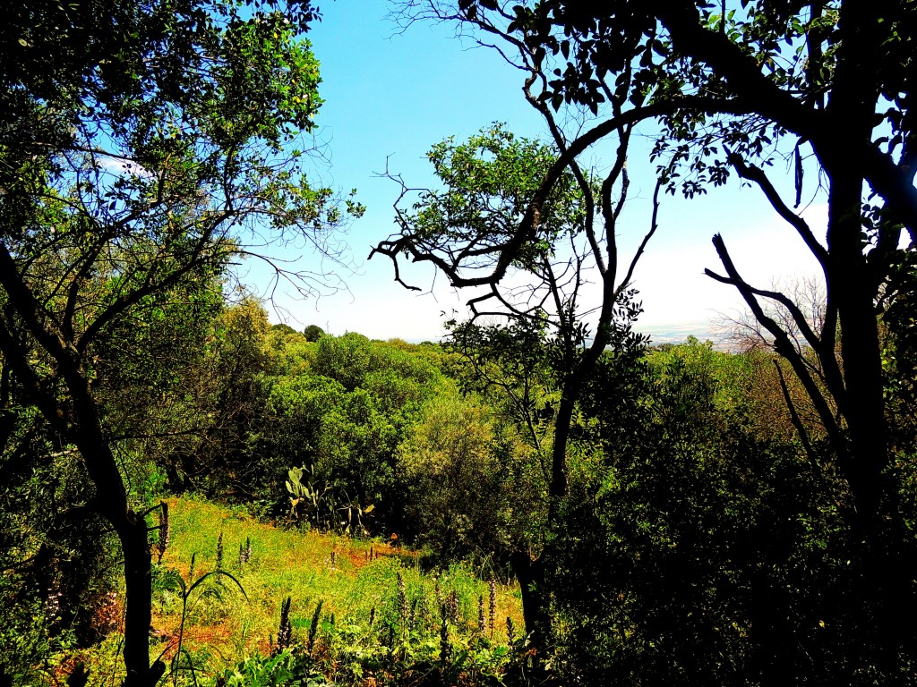 Foto: Las Ermitas - Córdoba (Andalucía), España