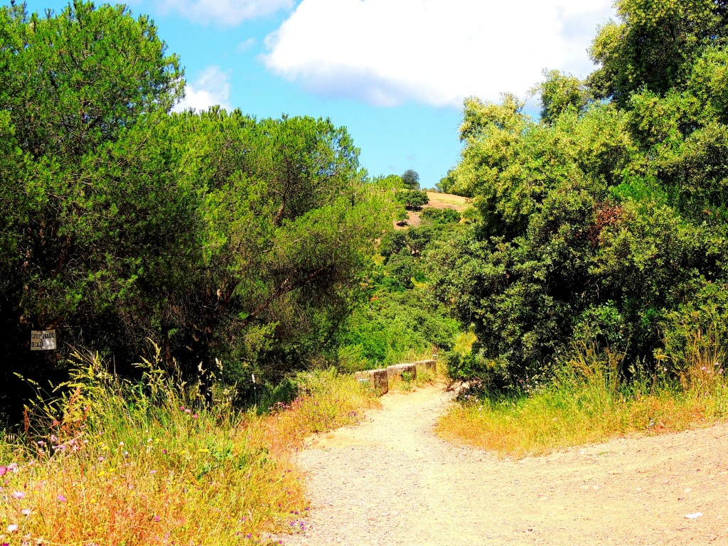 Foto de Córdoba (Andalucía), España