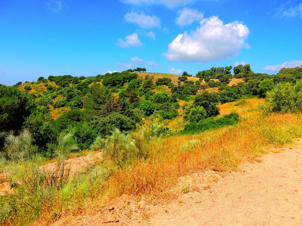 Foto de Córdoba (Andalucía), España