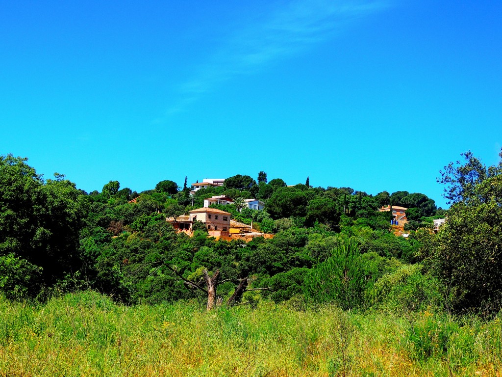 Foto de Córdoba (Andalucía), España