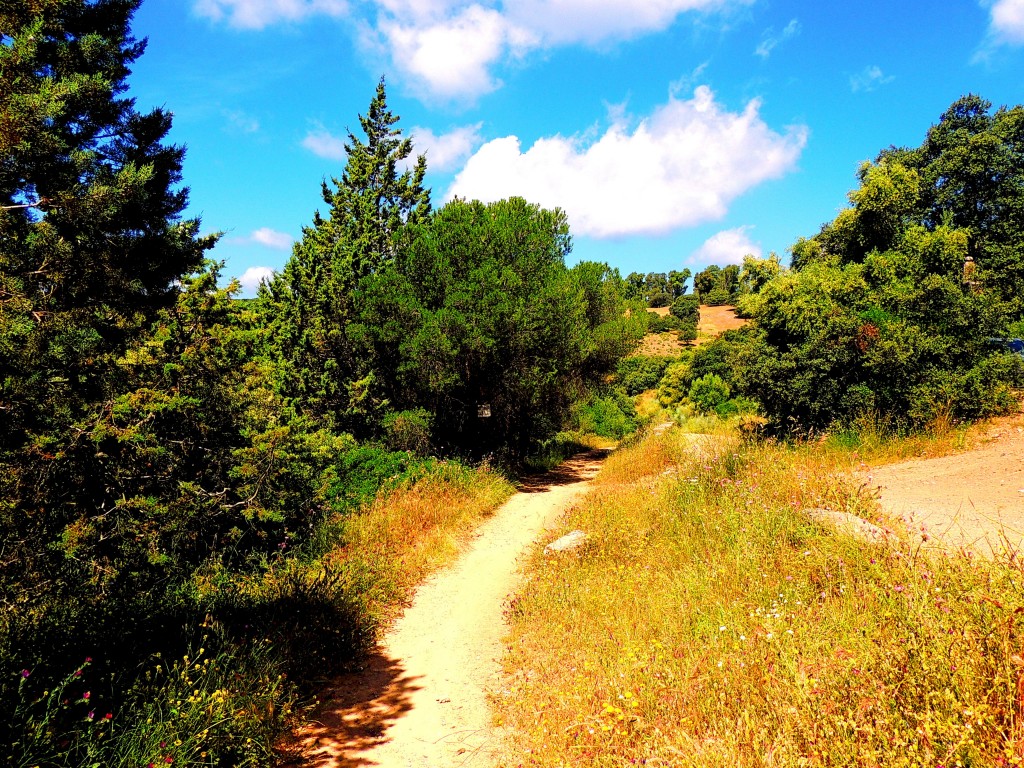 Foto de Córdoba (Andalucía), España