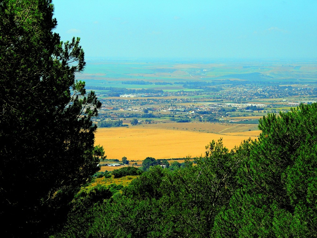 Foto de Córdoba (Andalucía), España