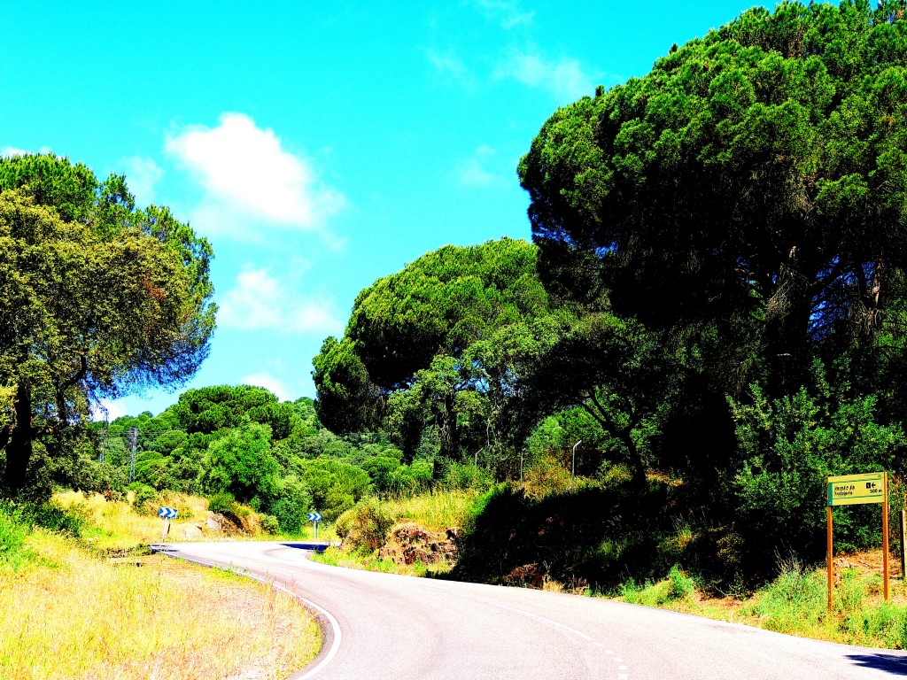 Foto de Córdoba (Andalucía), España