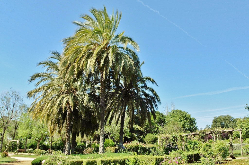 Foto: Parque Cervantes - Barcelona (Cataluña), España