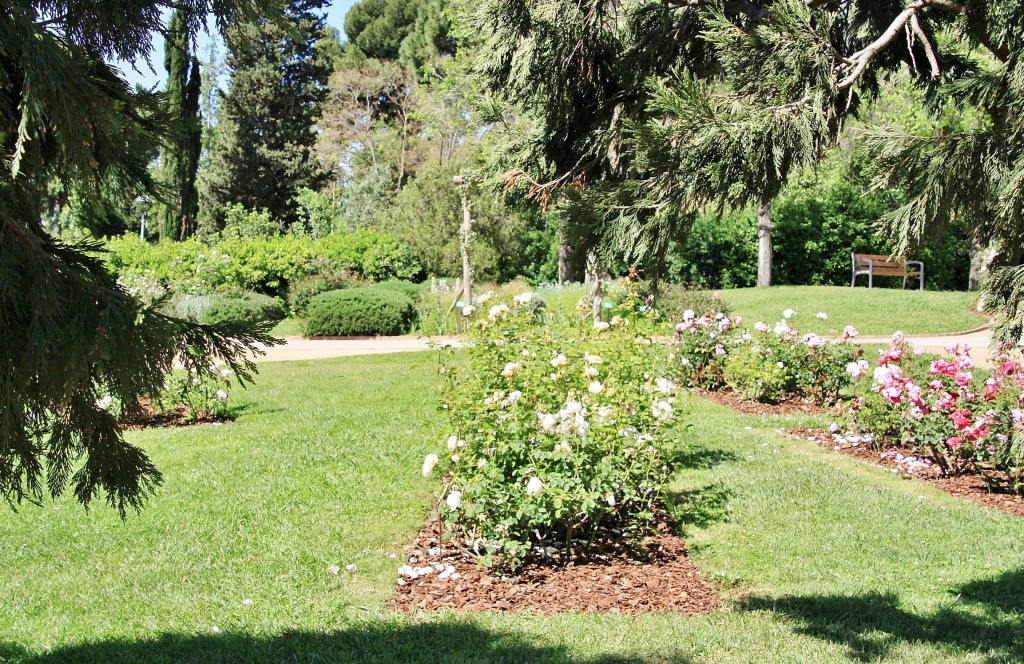 Foto: Parque Cervantes - Barcelona (Cataluña), España