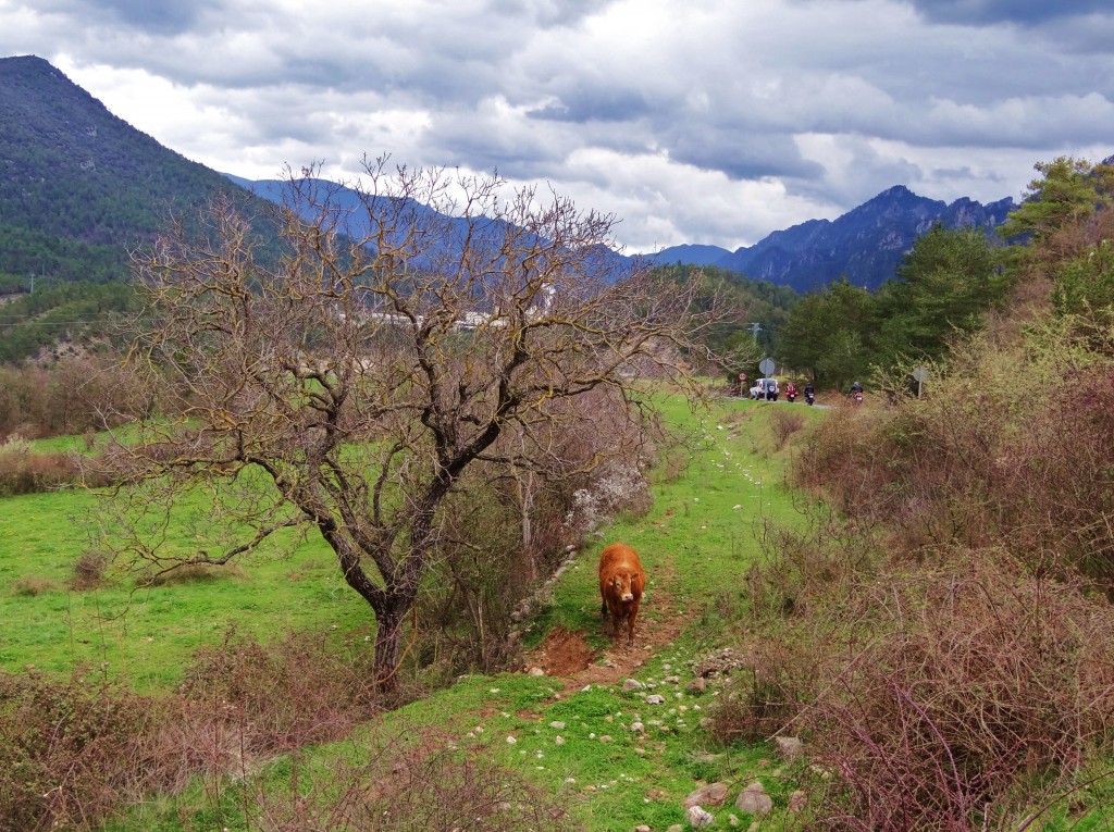 Foto: Vall de Lord - Sant Llorenç de Morunys (Lleida), España