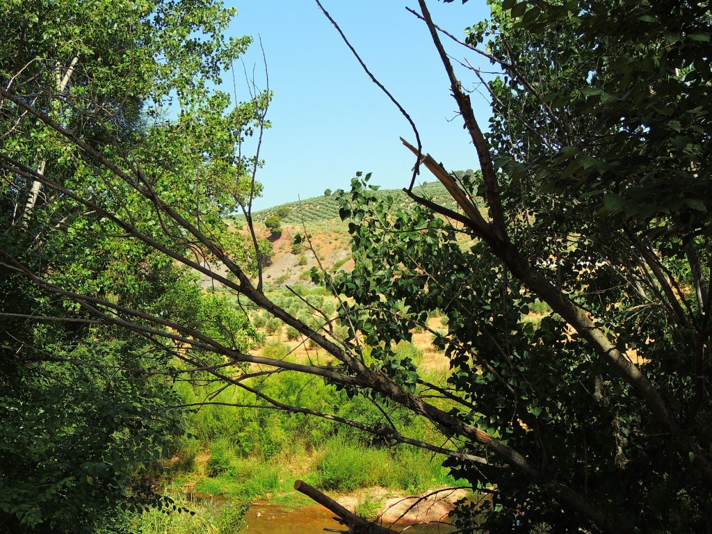 Foto de Puente de Génave (Jaén), España