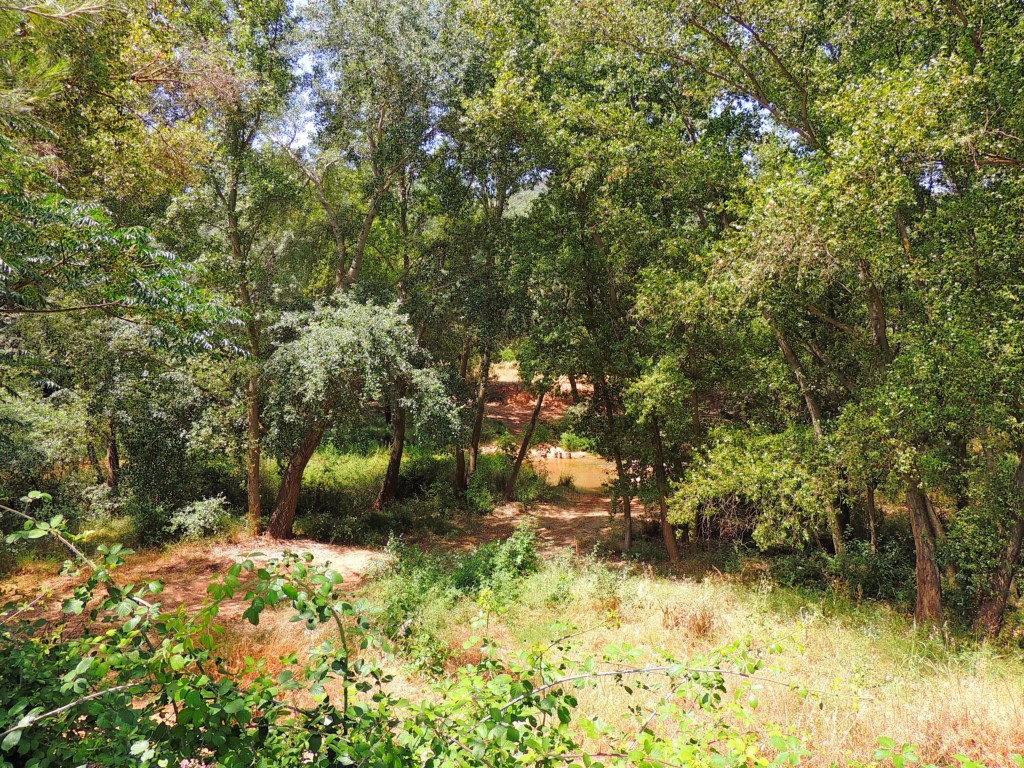 Foto de Puerta de Segura (Jaén), España