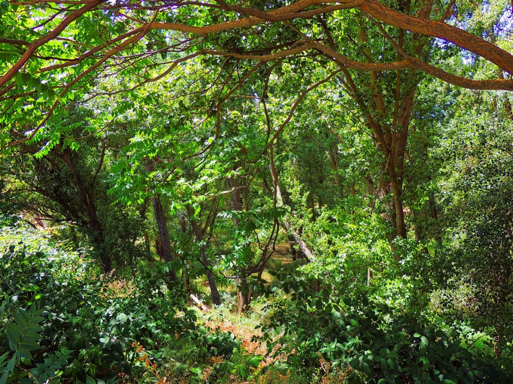 Foto de Puerta de Segura (Jaén), España
