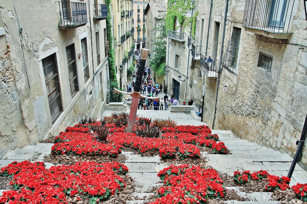Foto: Girona tiempo de flores - Girona (Cataluña), España