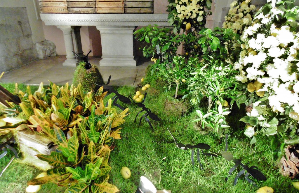 Foto: Girona tiempo de flores - Girona (Cataluña), España