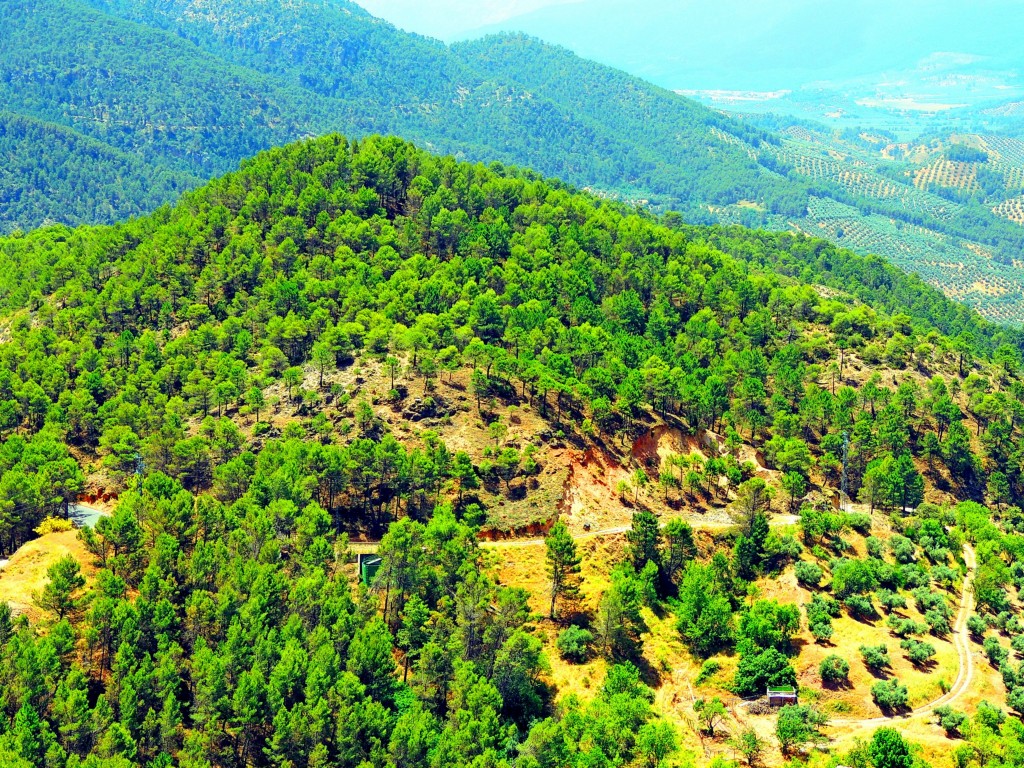 Foto de Segura de la Sierra (Jaén), España