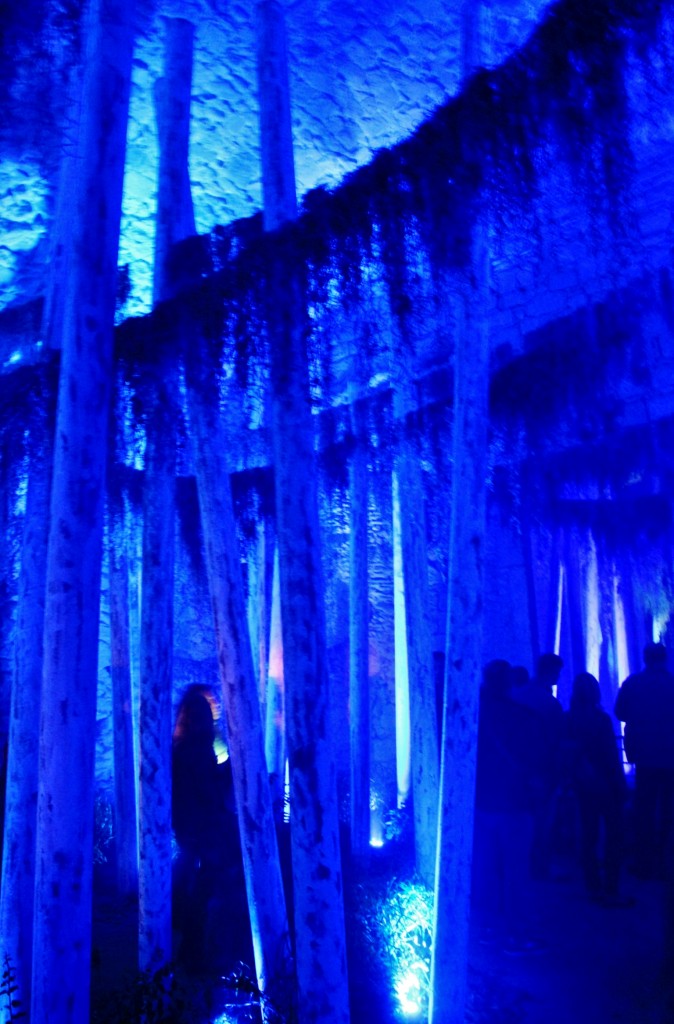 Foto: Girona tiempo de flores - Girona (Cataluña), España