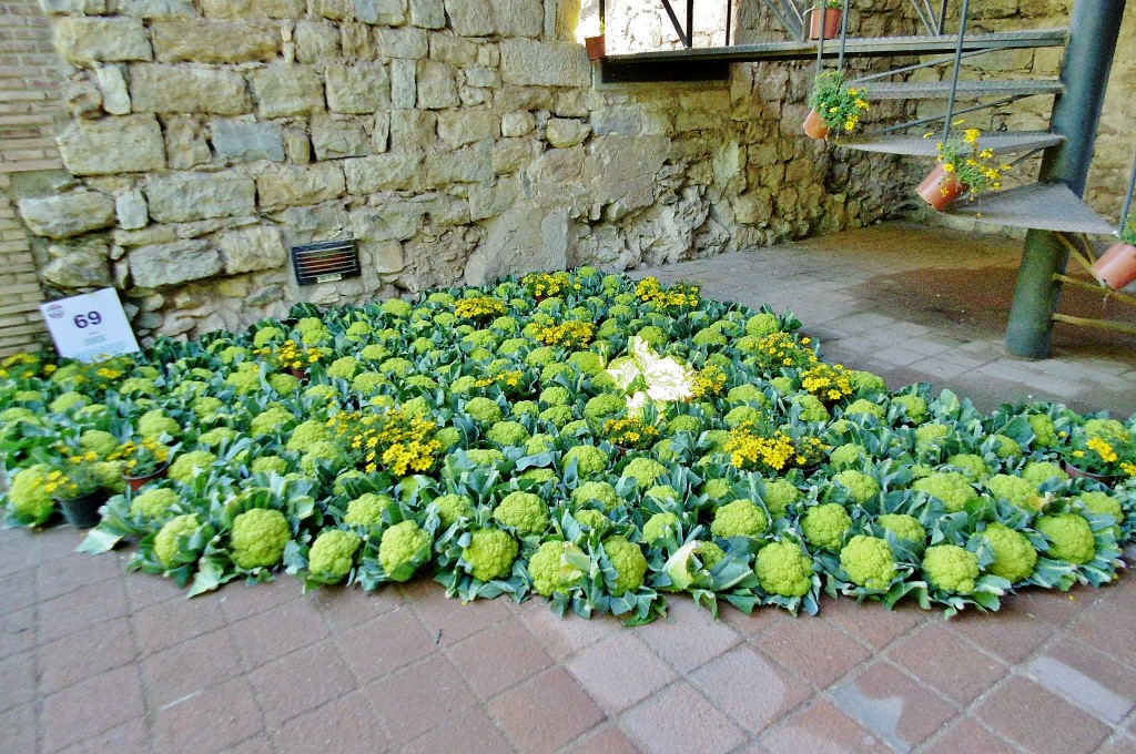 Foto: Girona tiempo de flores - Girona (Cataluña), España