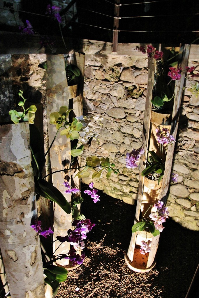 Foto: Girona tiempo de flores - Girona (Cataluña), España