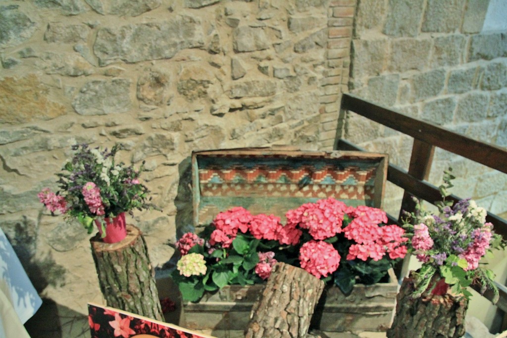 Foto: Girona tiempo de flores - Girona (Cataluña), España