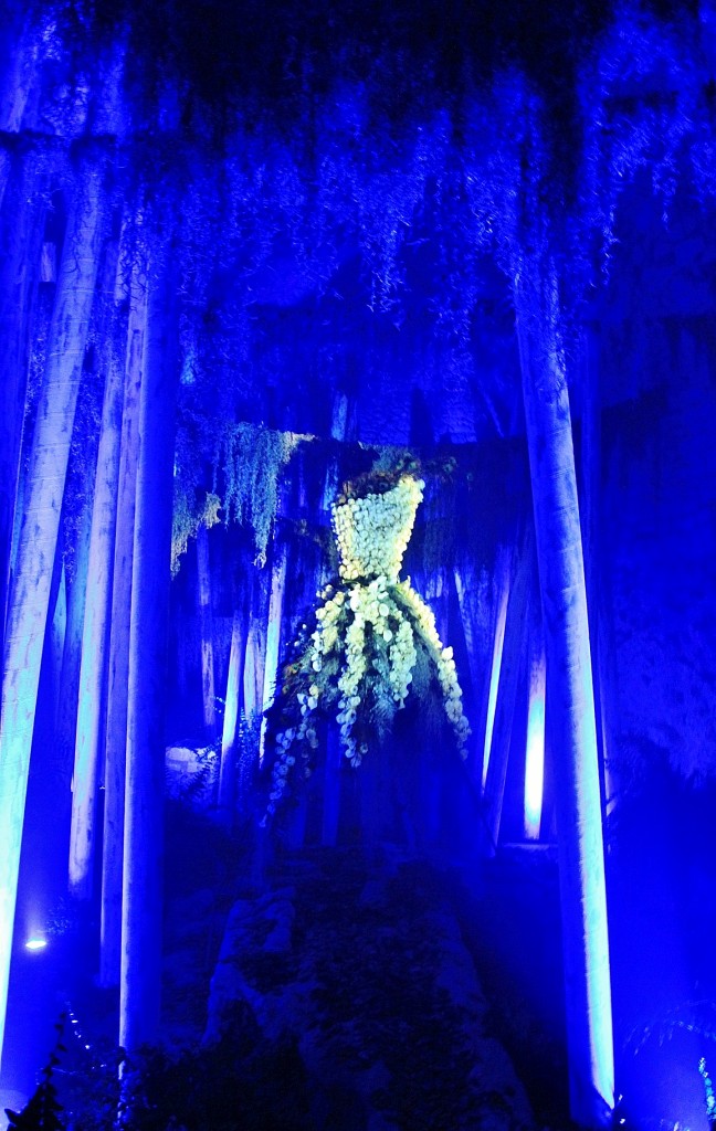 Foto: Girona tiempo de flores - Girona (Cataluña), España