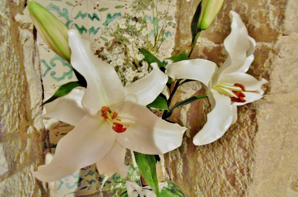 Foto: Girona tiempo de flores - Girona (Cataluña), España