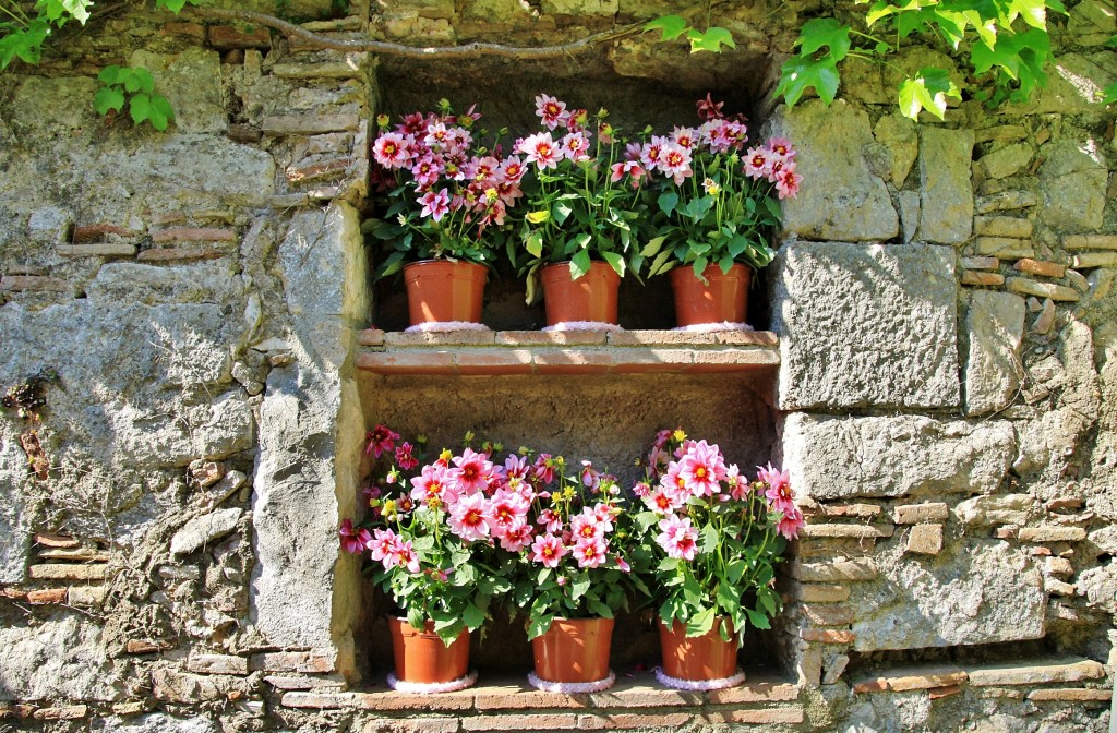 Foto: Girona tiempo de flores - Girona (Cataluña), España