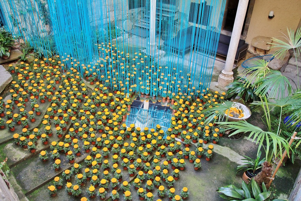 Foto: Girona tiempo de flores - Girona (Cataluña), España