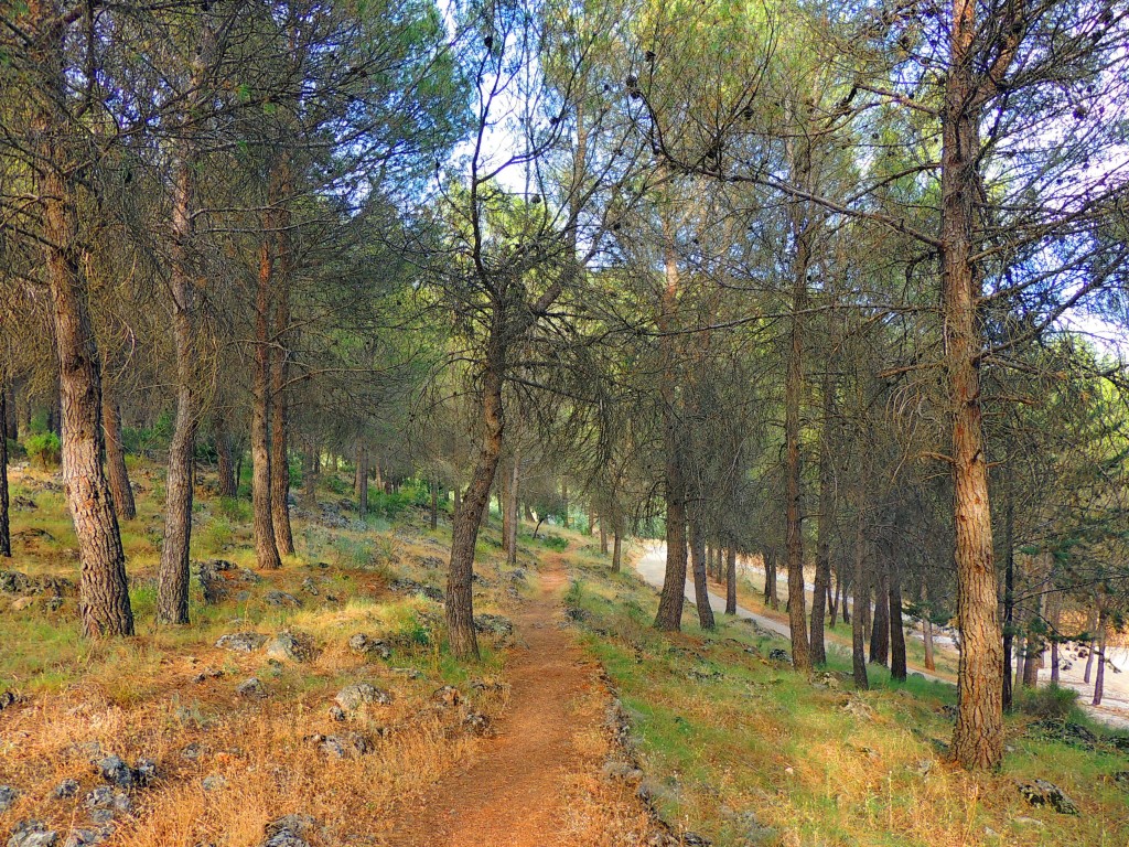 Foto de Hornos de Segura (Jaén), España