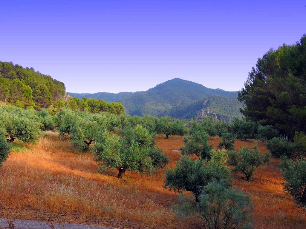 Foto de Hornos de Segura (Jaén), España