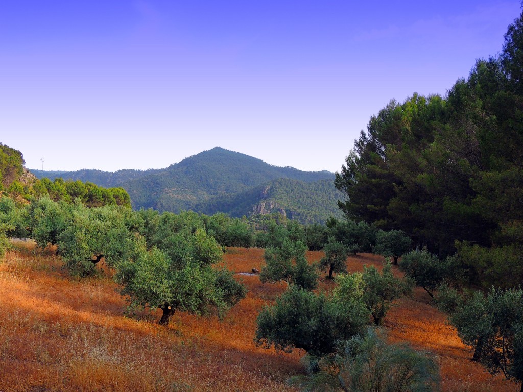 Foto de Hornos de Segura (Jaén), España