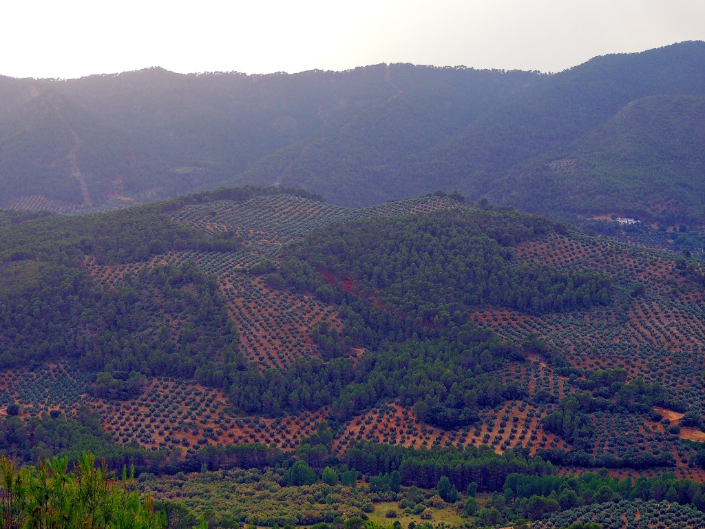 Foto de Hornos de Segura (Jaén), España