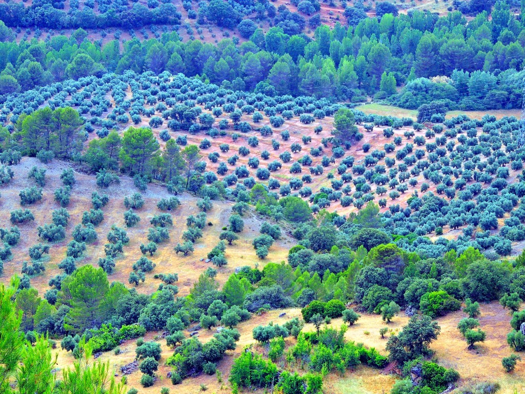 Foto de Hornos de Segura (Jaén), España
