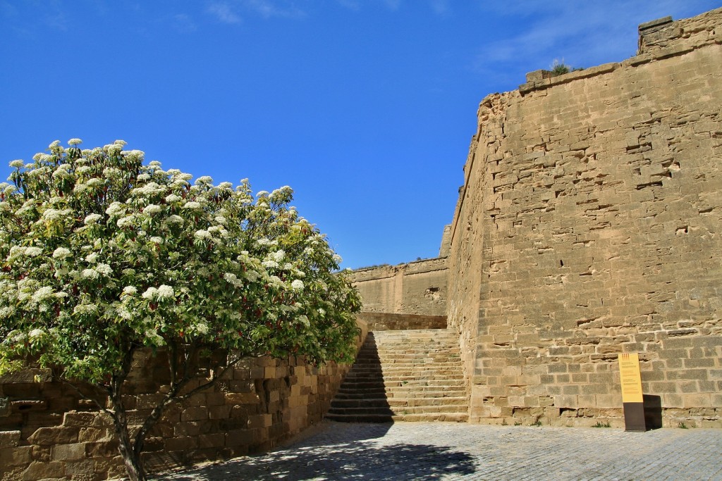 Foto: La Seu Vieja - Lleida (Cataluña), España