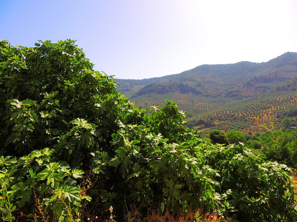 Foto de Peñolite (Jaén), España