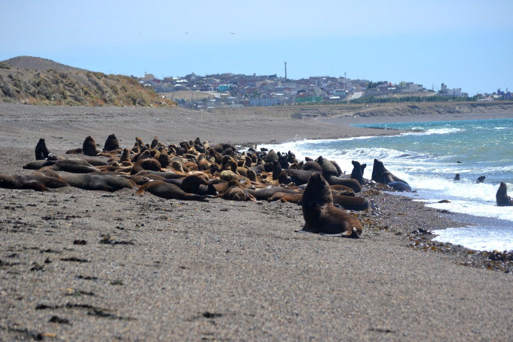Foto: Ciudadanos ilustres - Caleta Olivia (Santa Cruz), Argentina