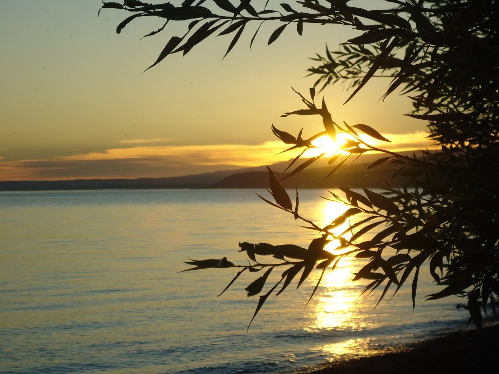 Foto de Los Antiguos (Santa Cruz), Argentina