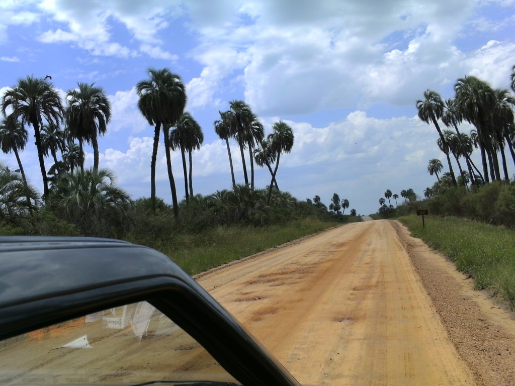 Foto de Palmares de Colon (Entre Ríos), Argentina