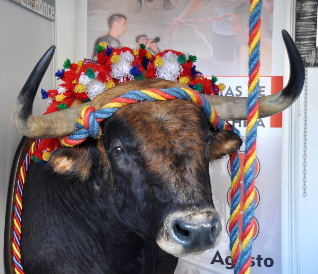 Foto: Toro de soga - Valencia (València), España