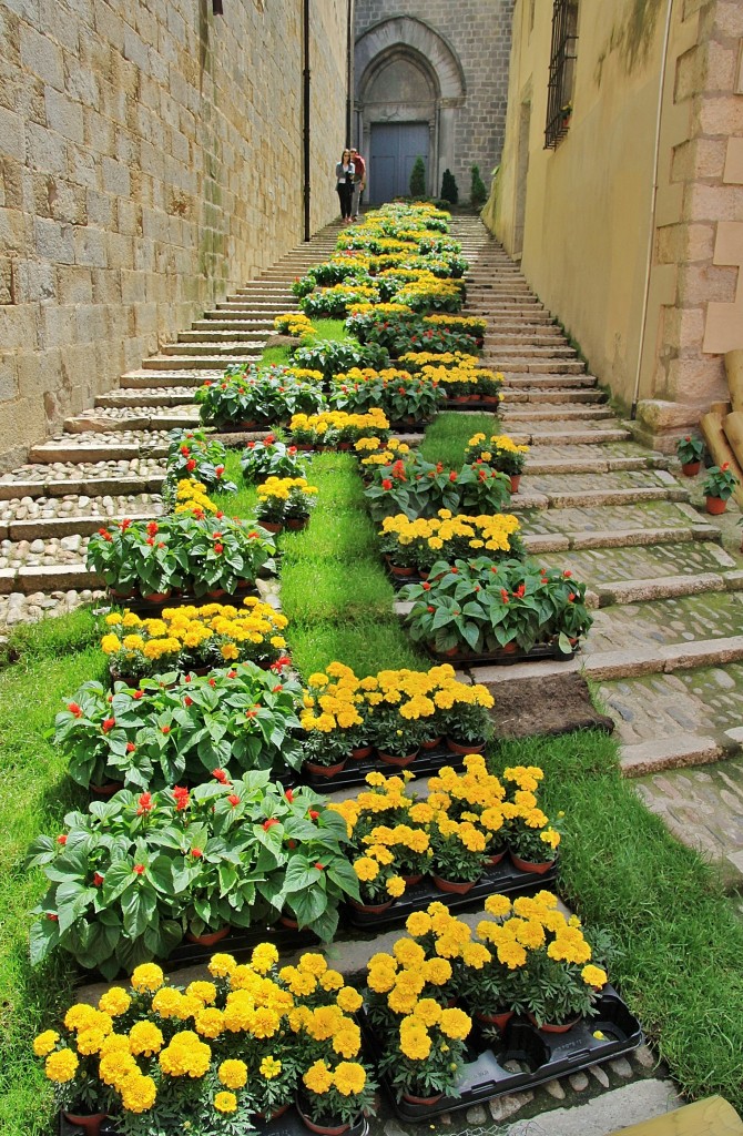 Foto: Girona tiempo de flores - Girona (Cataluña), España