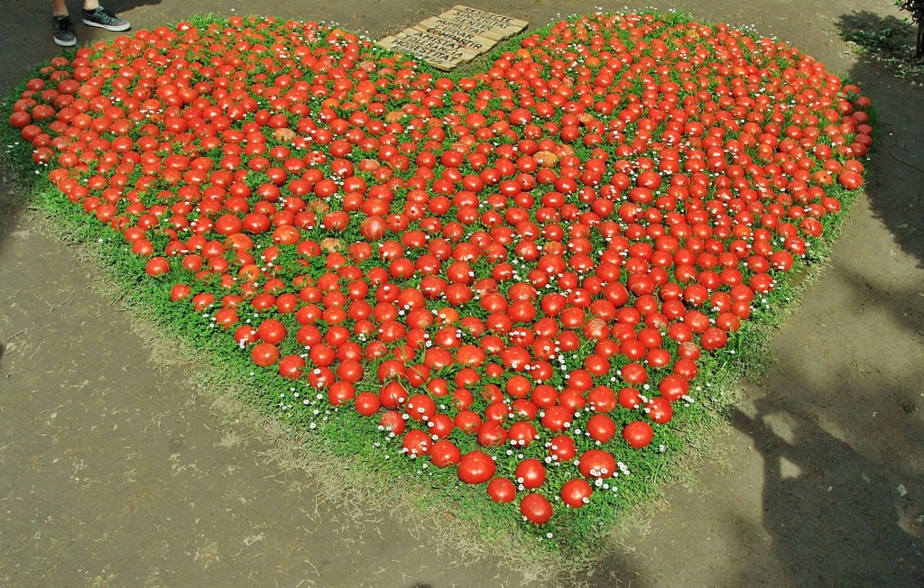 Foto: Girona tiempo de flores - Girona (Cataluña), España