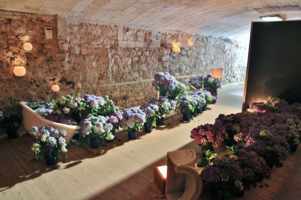 Foto: Girona tiempo de flores - Girona (Cataluña), España