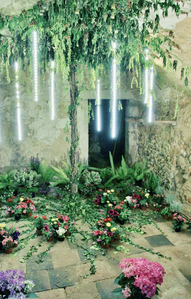 Foto: Girona tiempo de flores - Girona (Cataluña), España