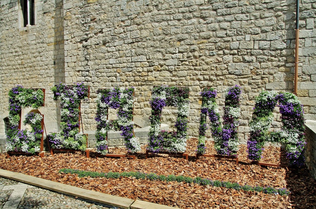 Foto: Girona tiempo de flores - Girona (Cataluña), España