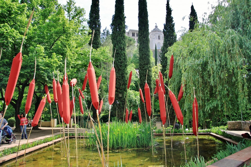 Foto: Girona tiempo de flores - Girona (Cataluña), España
