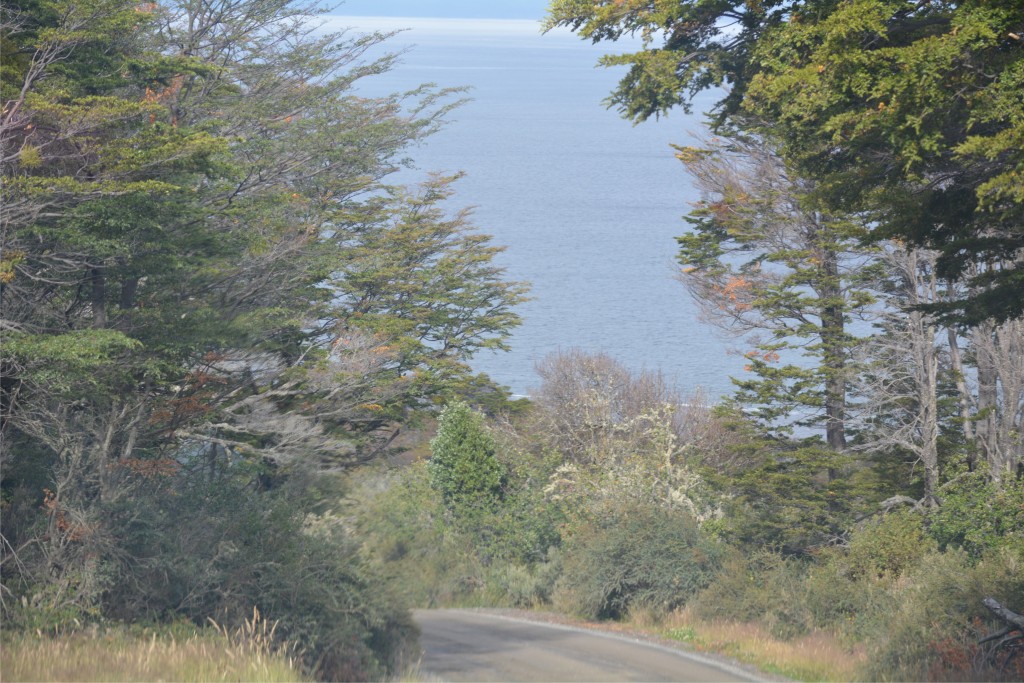 Foto de Punta Arenas (Magallanes y Antártica Chilena), Chile