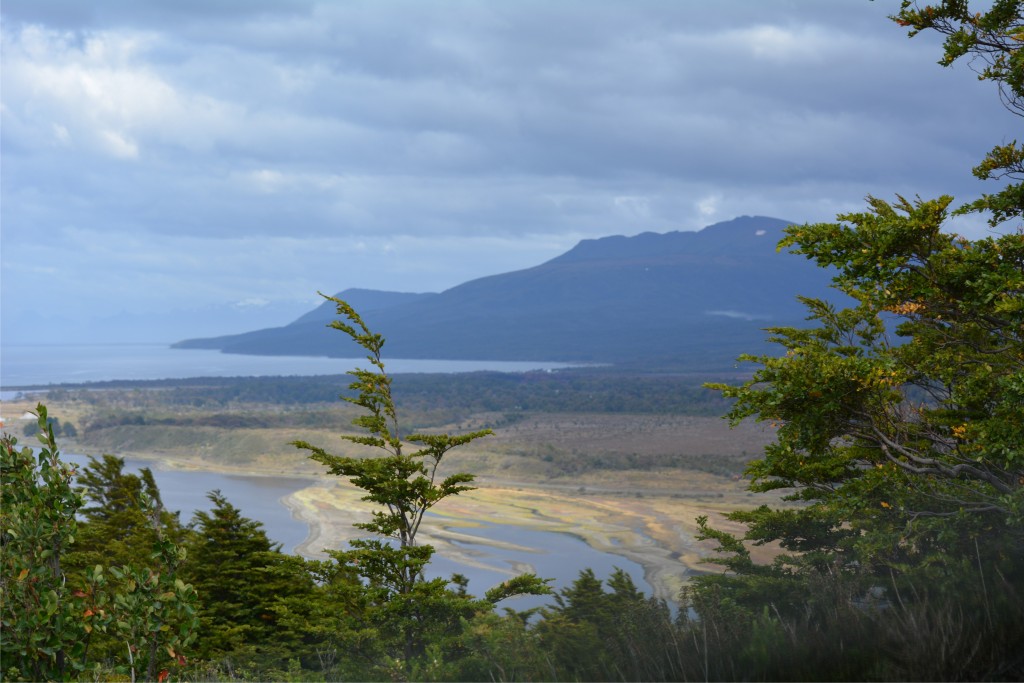 Foto de Punta Arenas (Magallanes y Antártica Chilena), Chile