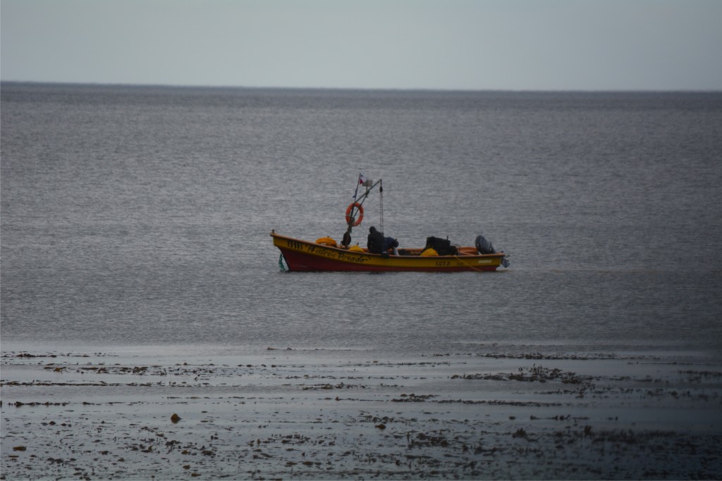 Foto de Punta Arenas (Magallanes y Antártica Chilena), Chile
