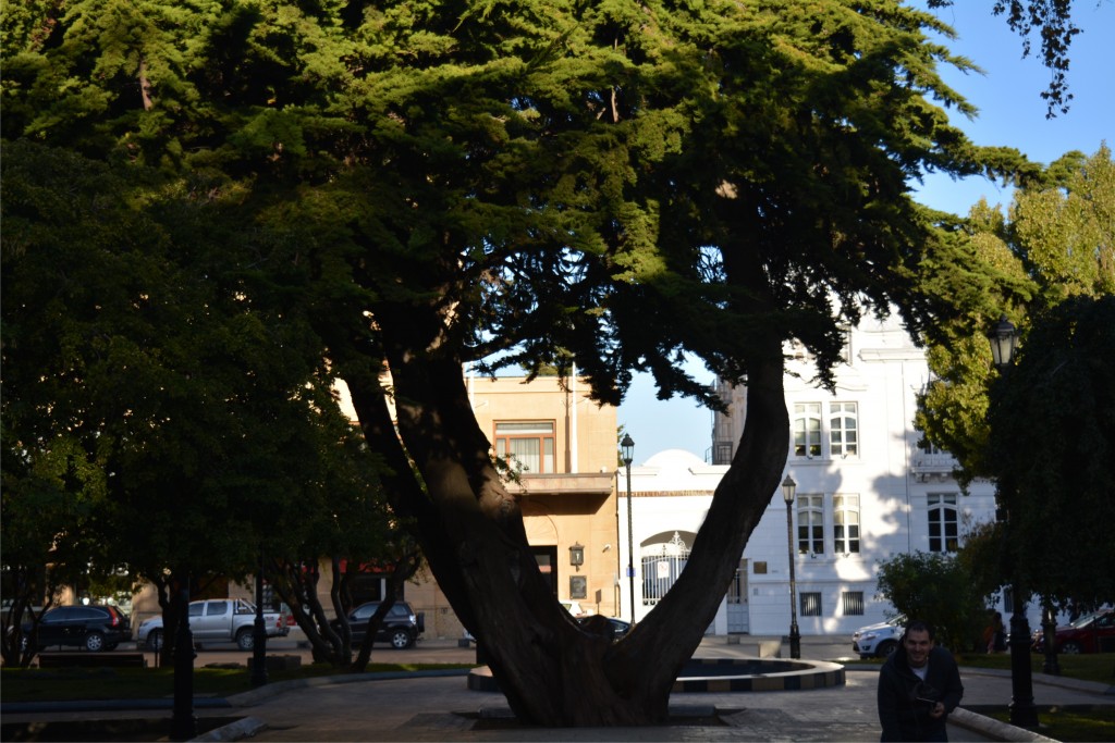 Foto de Punta Arenas (Magallanes y Antártica Chilena), Chile